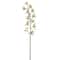 8 Pack: Cream Boat Orchid Stem by Ashland®